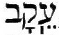 [Hebrew text]